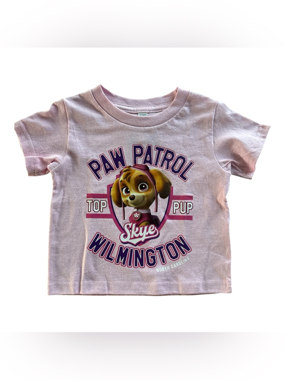 Nickelodeon Paw Patrol Skye Pink Graphic Tee Wilmington, NC 2T